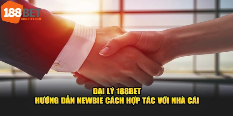 Các quy trình chuẩn để trở thành Đại lý 188BET